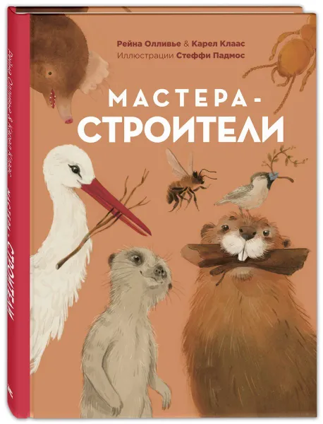 Обложка книги Мастера-строители, Олливье Рейна, Клаас Карел