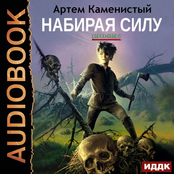 Обложка книги Набирая силу, Каменистый Артем