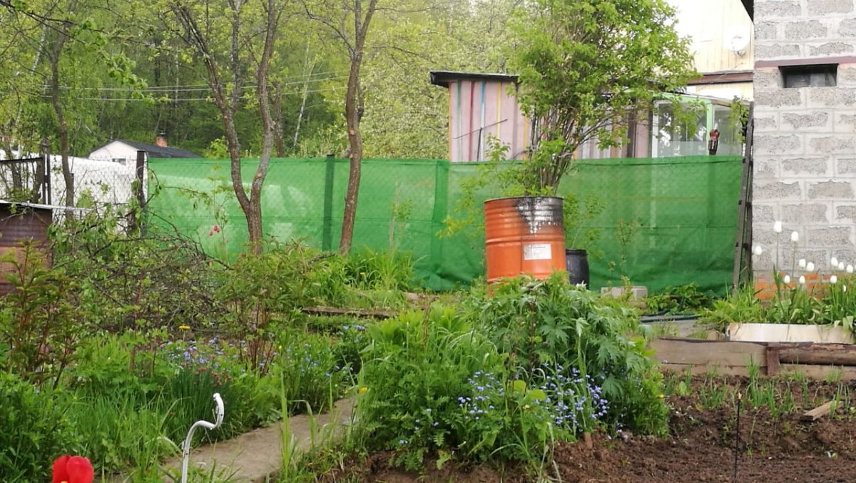 Розовый сад хутор ленина. Латвия сад хутора. Европлант питомник растений. Декоративный сад оренбург хутор степановский каталог. Декоративный сад оренбург хутор степановский каталог.