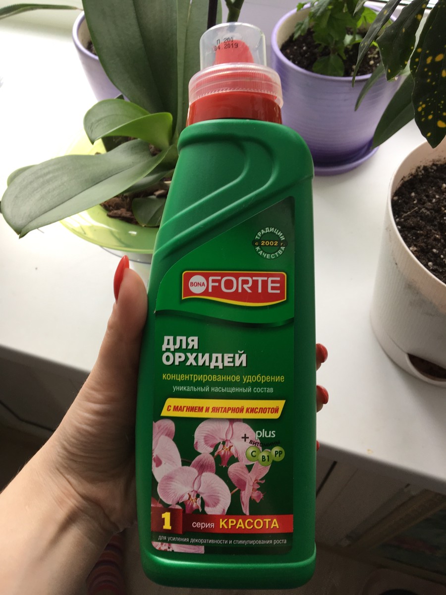 Bona Forte для орхидей. Форте для петунии. Субстрат для орхидей Bona Forte 1 л. Бона форте от насекомых для орхидей. Удобрение форте для петуний