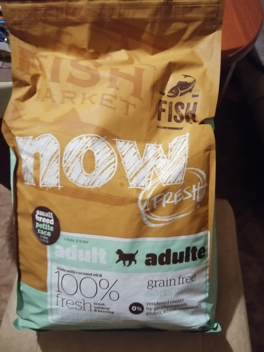 Now fresh корм для собак мелких пород. Now отзывы для собак. Now fresh корм для собак small breed. Корм now fresh. Корм для собак беззерновой холистик.