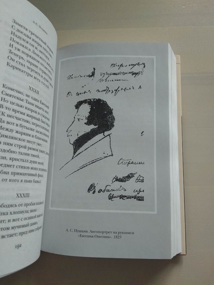 Пушкин онегин читательский дневник 9 класс. Вересаев Пушкин. Вересаев в.в. "Пушкин в жизни". Вересаев жизнь Пушкина.