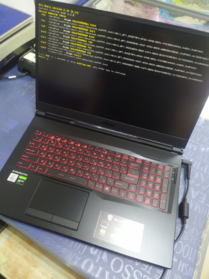 Купить Ноутбук Msi Gl75 Leopard 10scxr