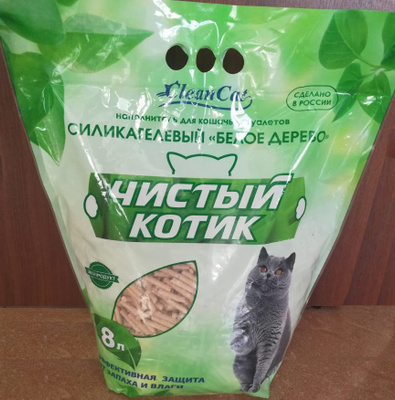 Чистый котик стерлитамак