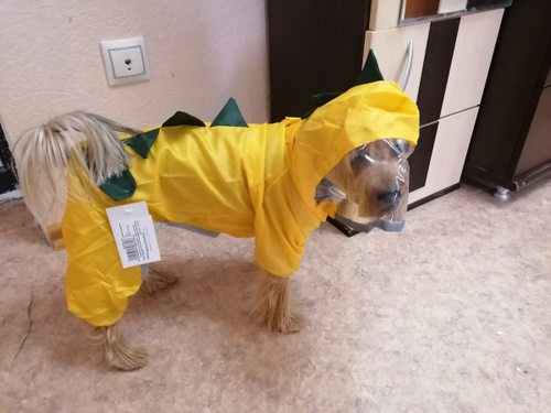 flounder costume for dog