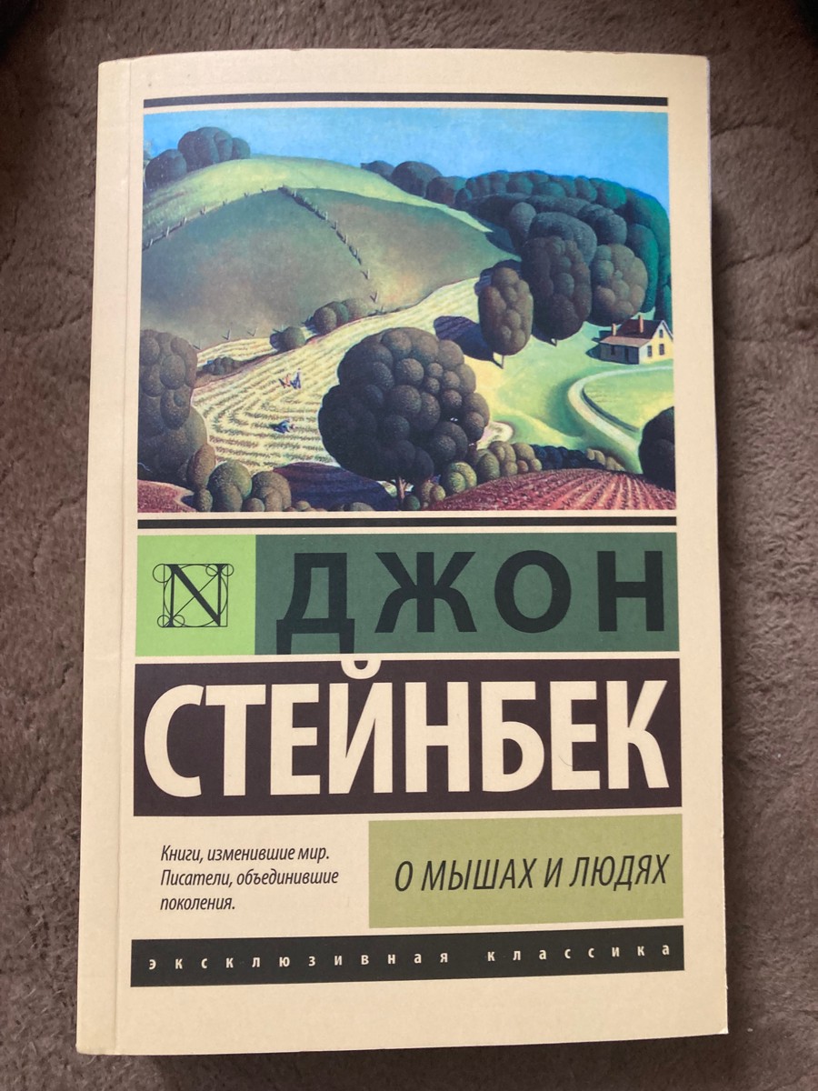 Книга пришла быстро. Упакована была в обычный пакет, доставили без повреждений. Бумага в книге серая, довольно плотная, печать хорошая.