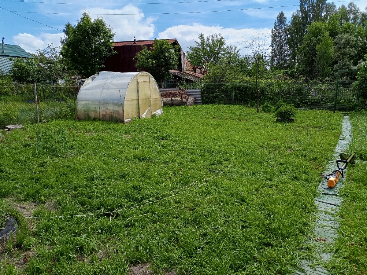 На три сотки ушло три мешка. Сначала были плеши, досеял, стало лучше