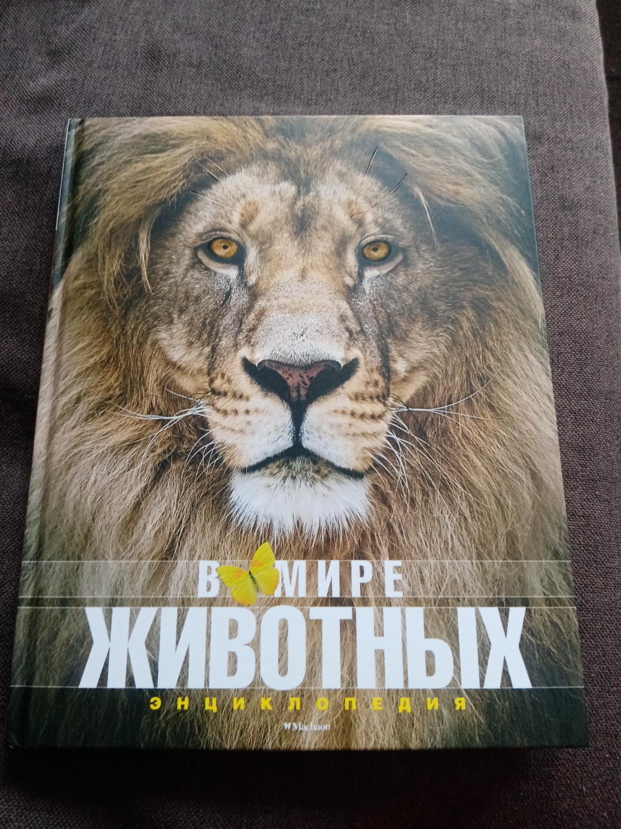 Книга пришла вовремя,красивая,ребенку 6 лет очень понравилась.Рекомендуем к покупке!