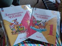 Литературное чтение. 1 класс. Учебник. Часть 1 ФГОС | Климанова Людмила Федоровна, Горецкий Всеслав Гаврилович #7, Ирина Ч.