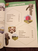 Большая книга подсказок Minecraft #7, Алевтина Т.