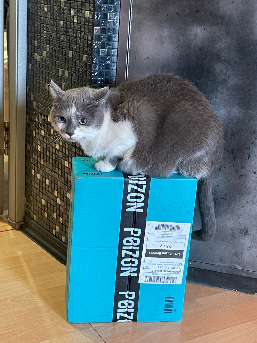 custom review-Skechers BOUNDER 2,0 Low Топ Кэжуал Мужской Черный