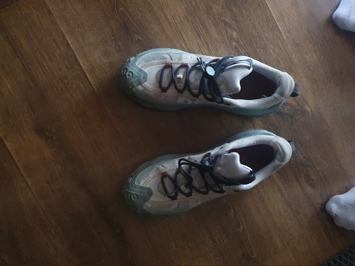 custom review-Nike ACG Mountain Fly Low Топ Уличная обувь Унисекс Белый Синий