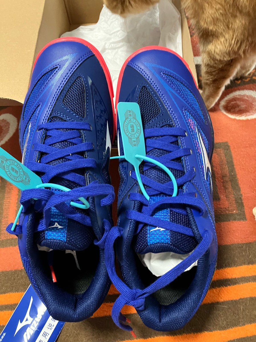 custom review-Mizuno Medal 6 Slip-on Устойчивый к истиранию Дышащий Низкий Топ Кроссовки для тренировок Мужской Синий