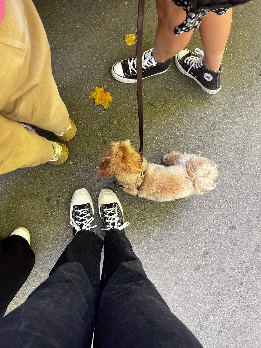 custom review-Converse Chuck 70 Износостойкий и Легкий Высокий Топ Кеды Унисекс Черный