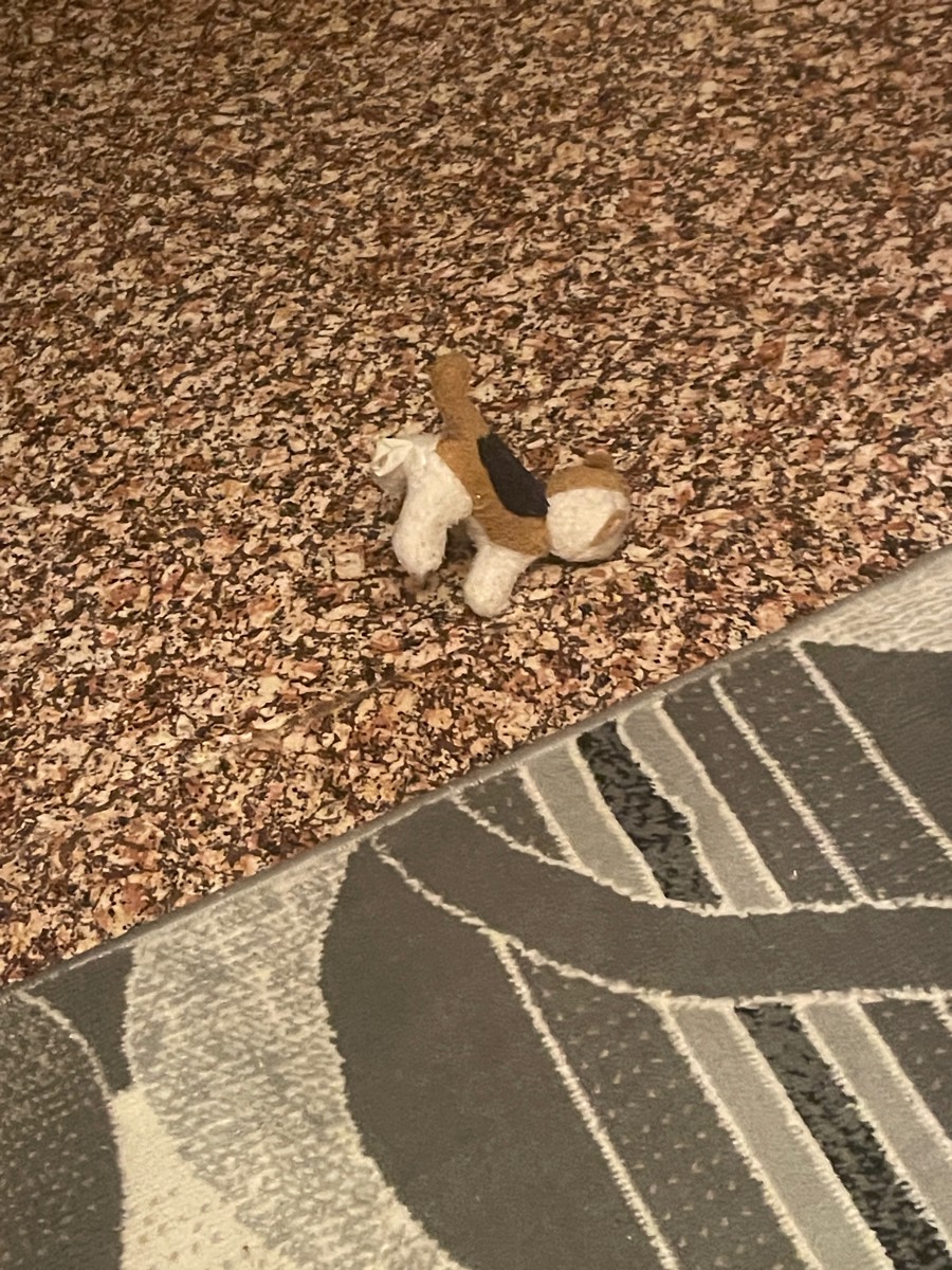 Фото из отзыва