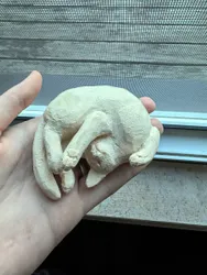 Котик)