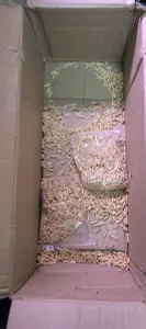 фото из отзыва покупателя