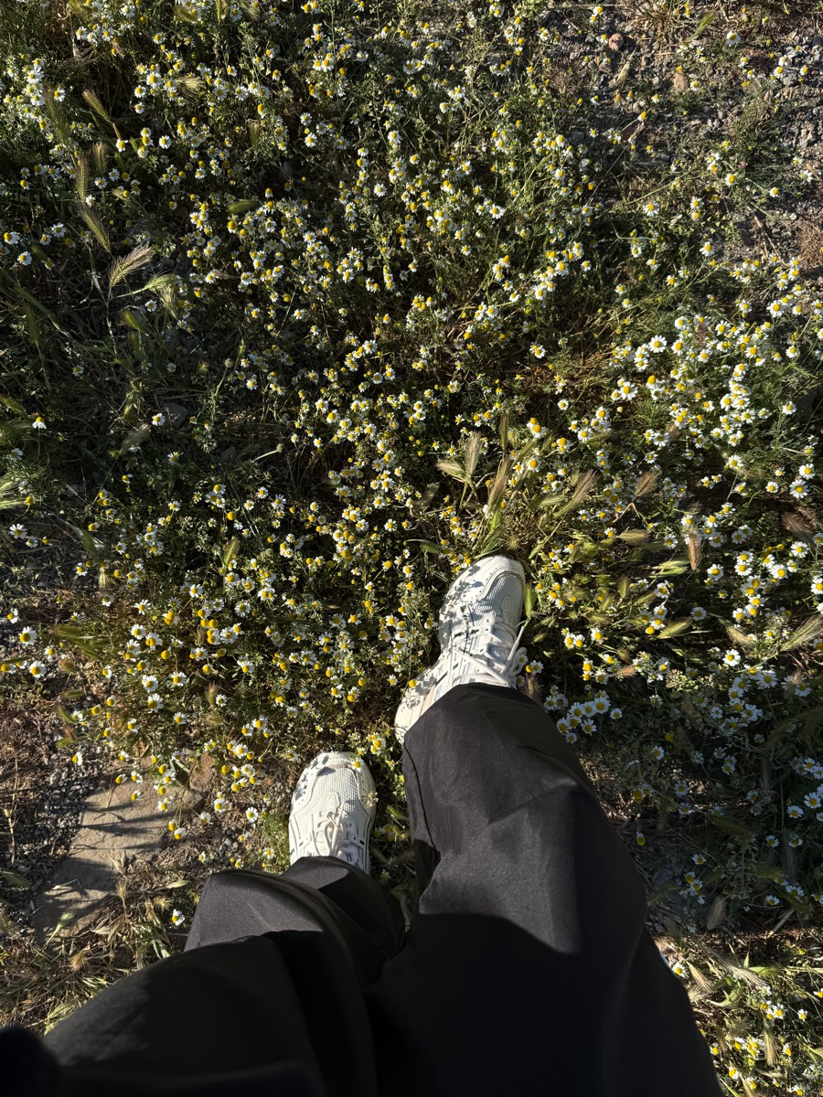 custom review-Asics Gel 1090 Low Top Повседневная Обувь Унисекс Бежевый Коричневый