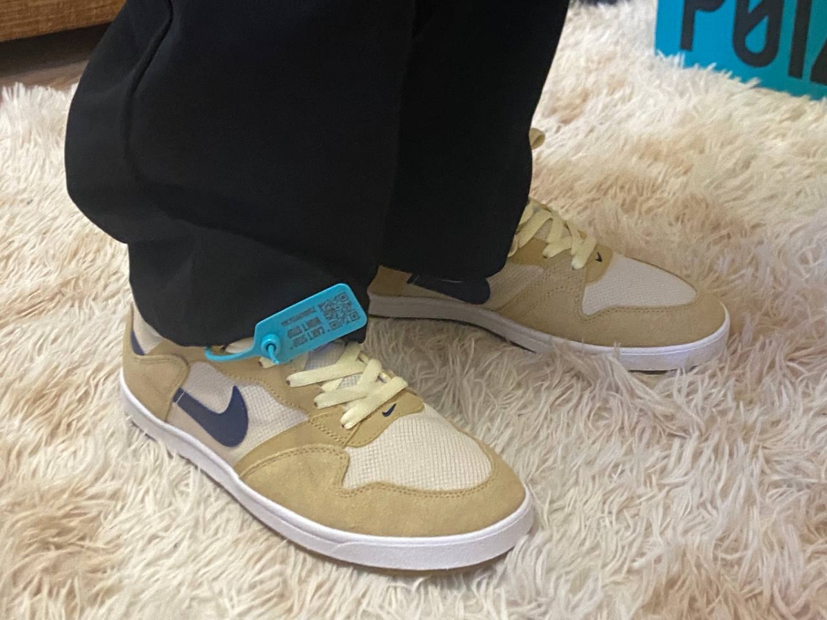 custom review-Nike SB Alleyoop Low Топ Скейтборд Кроссовки Мужские Коричневые Синие Белые