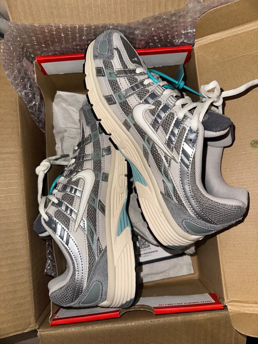 custom review-Nike P 6000 Low Топ Повседневный Городской Коммутер Беговые кроссовки Унисекс Белый Серебряный