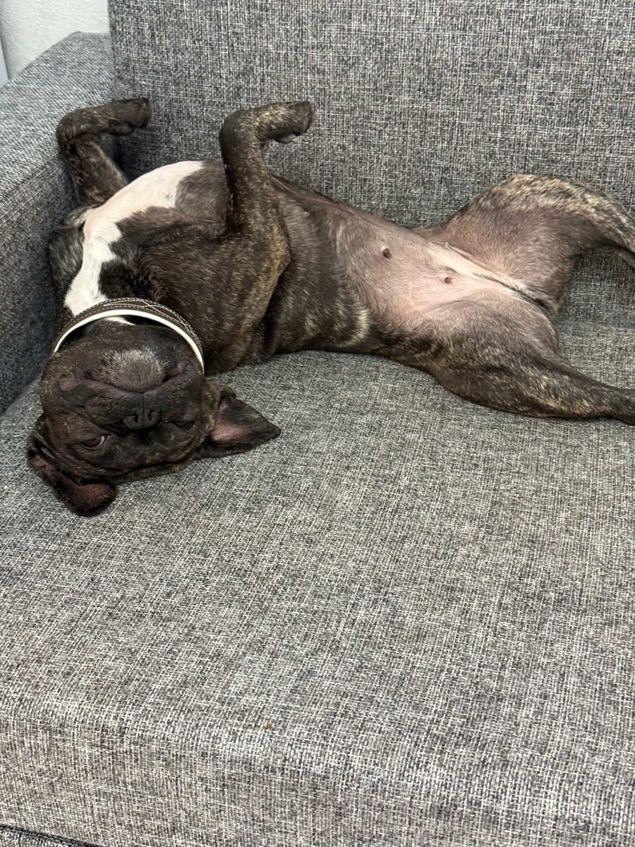 custom review-Reebok CLUB C 85 VINTAGE Устойчивые к истиранию Легкие и Дышащие Скейтборд Кроссовки Унисекс Экрю