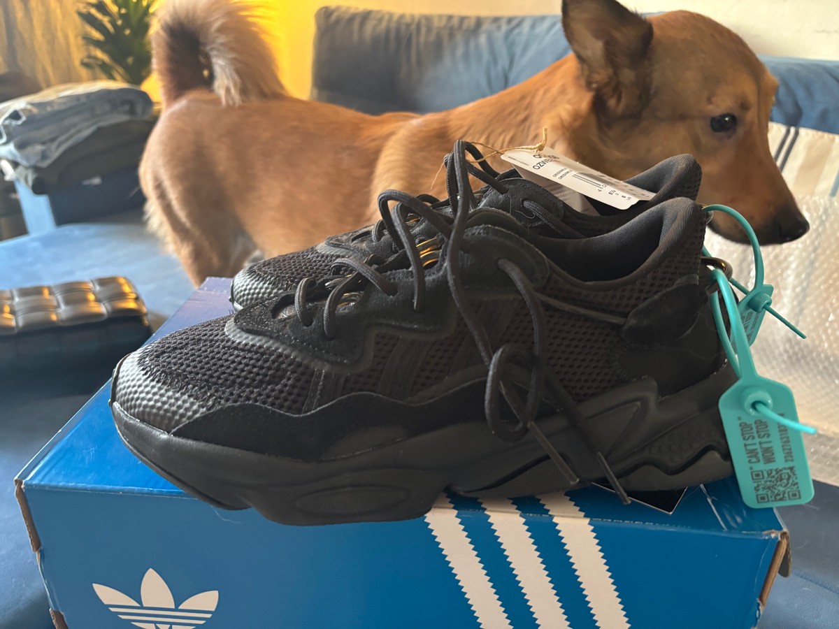 custom review-Adidas Originals Ozweego Черный Warrior Low Top Массивные Кроссовки Унисекс Pure Black