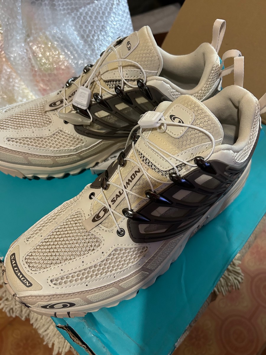 custom review-SALOMON ACS Pro Slip-Resistant Abrasion-Resistant Low-Top Streetwear Унисекс Серый Бежевый