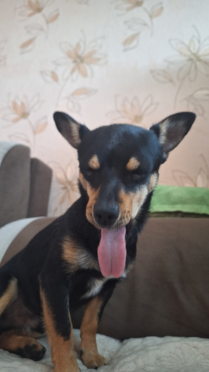 custom review-PUMA Traek Lite Спортивные сандалии унисекс черные