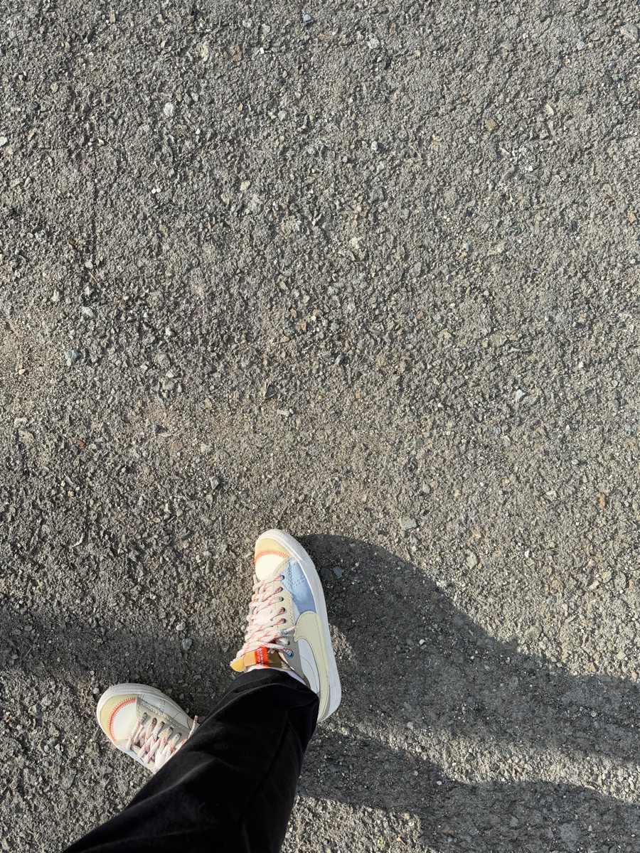 custom review-Nike Blazer Low Топ Скейтборд Кроссовки Женские Бежевые