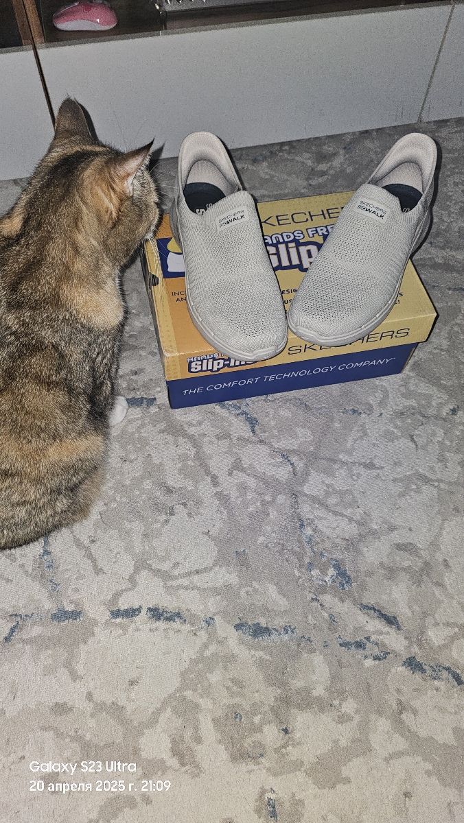 custom review-Skechers Go Walk 6 Hands Бесплатно Slip ins Низкий Топ Повседневный Мужской Бежевый