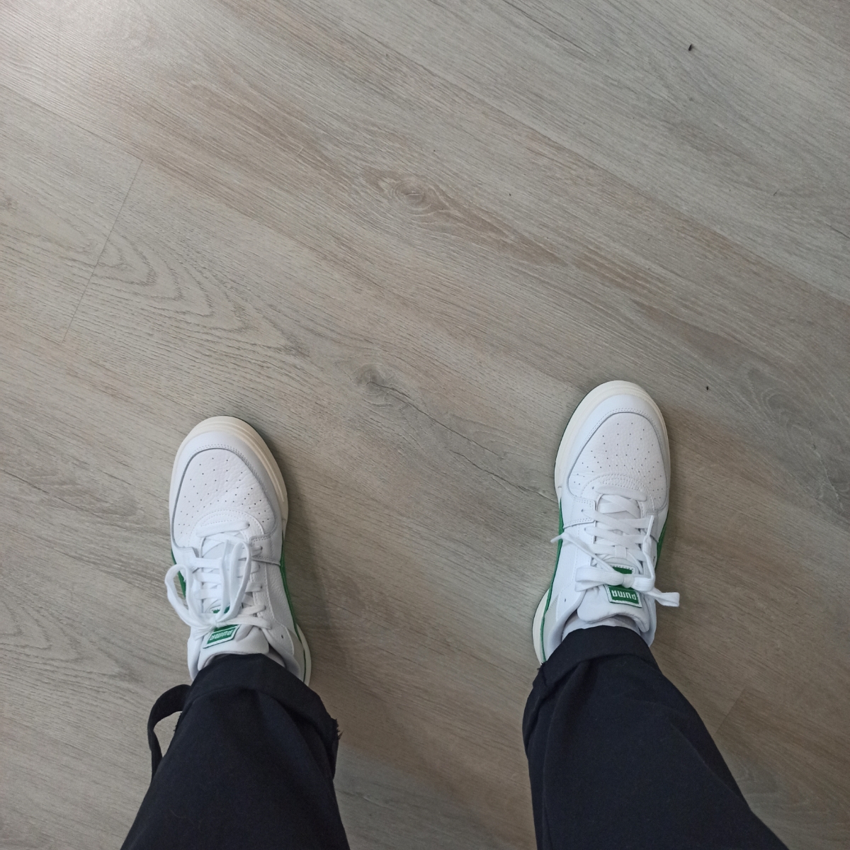 custom review-PUMA Ca Pro Амортизация Износостойкие Низкие Кроссовки для Скейтбординга Унисекс Белые Зеленые