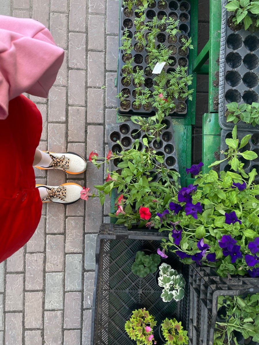 custom review-ASICS Novablast4 TR Low Top Trail Беговые кроссовки Мужские Бежево-желтые