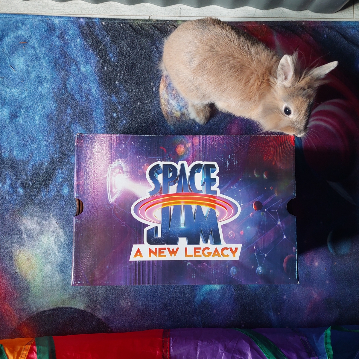 custom review-Конверс Run Star Motion High Топ Кеды Унисекс Starry Blue