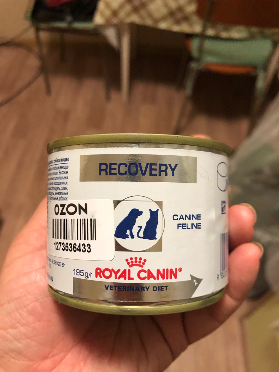 D recover. Роял Канин рековери консервы. Royal Canin convalescence support Cat. Royal Canin Recovery крем в период анорексии и выздоровления.