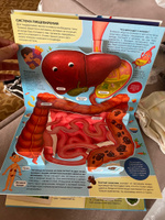 Энциклопедия POP UP 3D Malamalama "Анатомия". Книжка-панорамка для детей 3D. Секреты тела человека #7, Эльза Д.