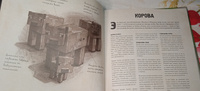 Книга Minecraft. Мобиология. #30, Гузель П.