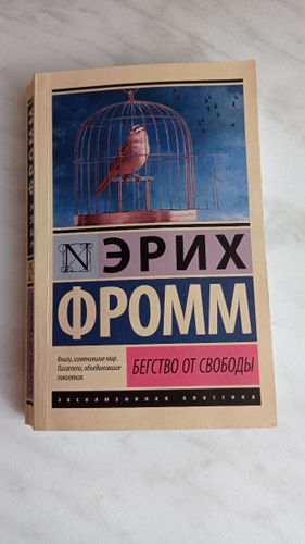Фромм бегство от одиночества является. Фромм бегство от одиночества является