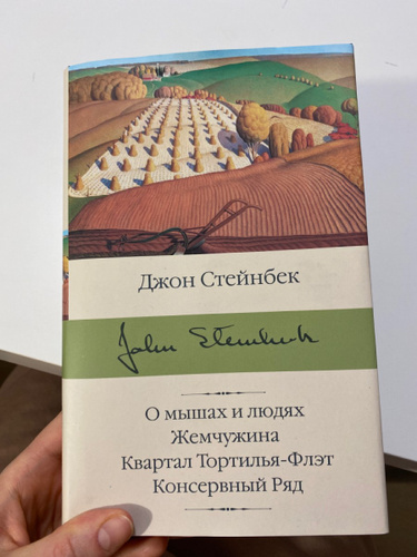 Джон стейнбек жемчужина. Консервный ряд Джон Стейнбек книга. Джон Стейнбек квартал Тортилья-флэт. Джон Стейнбек о мышах и людях. Книга. О мышах и людях.Жемчужина.