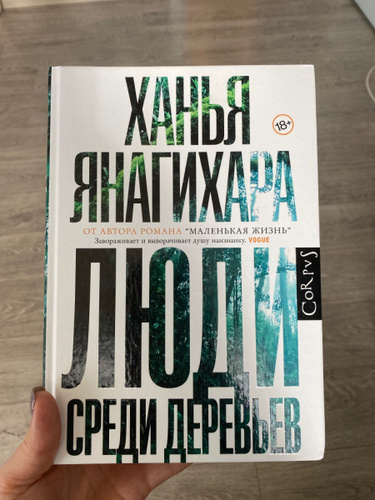 Янагихара маленькая жизнь аудиокнига