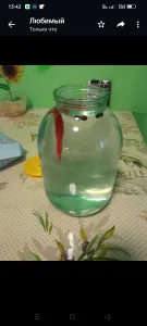 фото из отзыва покупателя