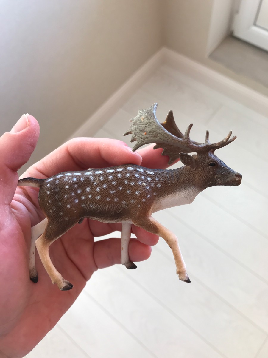 Олень обои. Лесной олень текст текст. Олень с красивыми рогами. Олень в природе. Проскакал по городу олень.