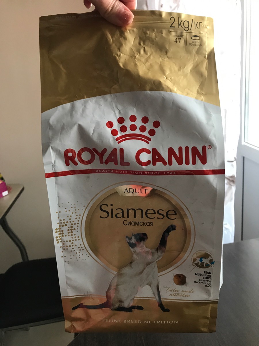 Royal Canin Royal Canin Siamese Adult для взрослых сиамских кошек (2 + 2 кг). Ройал Канин Сиамская кошка.