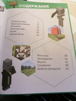 Большая книга подсказок Minecraft #4, Анастасия С.