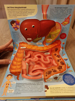 Энциклопедия POP UP 3D Malamalama "Анатомия". Книжка-панорамка для детей 3D. Секреты тела человека #4, Анна А.