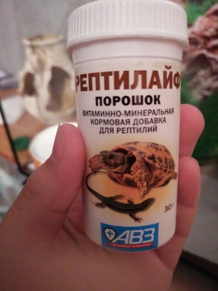 Рептилайф витамины для рептилий. Рептилайф порошок, 30 г. Рептилайф кальций. Рептилайф витамины для рептилий инструкция.