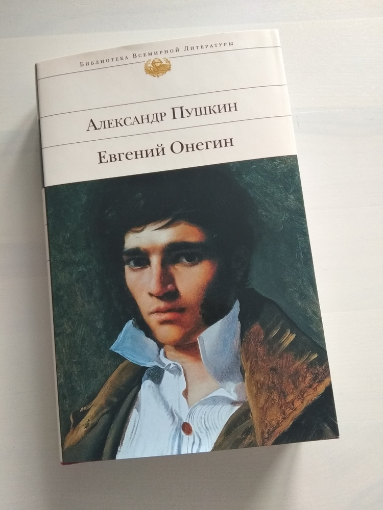 Книга онегин отзывы