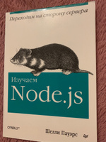 Изучаем Node.js | Пауэрс Шелли #1, Роман