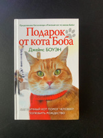 Новый Год Кота Боба Новый Год Кота Боба