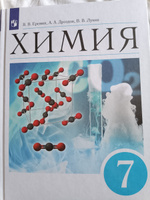 Химия. Введение в предмет. 7 класс. Учебник ФГОС | Еремин Вадим Владимирович, Лунин Валерий Васильевич #1, Светлана Т.