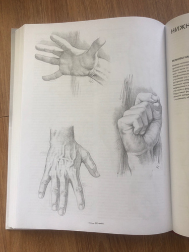 Анатомия Джованни Чиварди. Джованни Чиварди анатомия для художника. Джованни Чиварди череп человека. Джованни Чиварди изображение кисти и стопы.